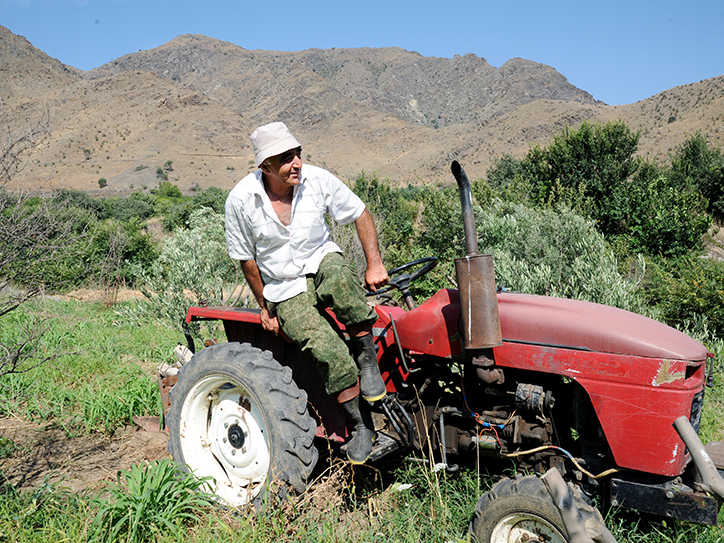 akba_kredit_agrikol_bank_rasskazal_o_stanovlenii_olivkovogo_fermera_karena_karapetyana - рис.3 akba_kredit_agrikol_bank_rasskazal_o_stanovlenii_olivkovogo_fermera_karena_karapetyana - рис.3
