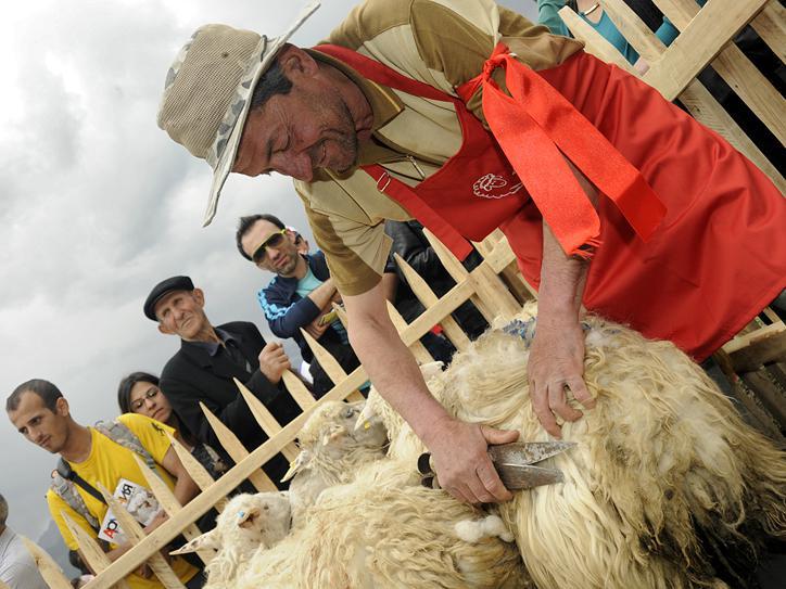 festival_v_tateve_i_ovtsy_tsely_i_kover_sotkan - рис.6