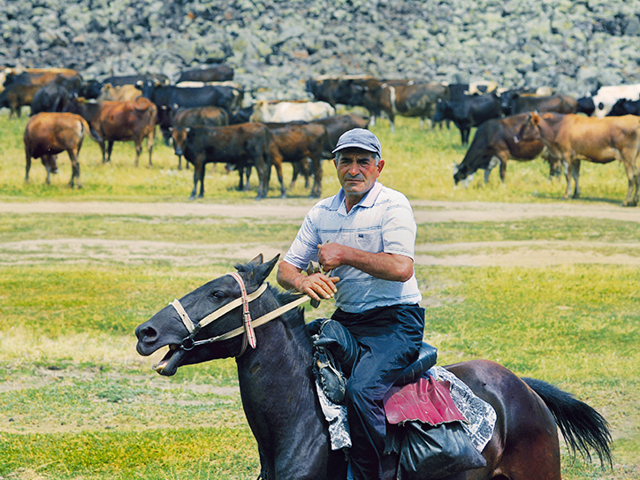 akba_kredit_agrikol_bank_rasskazal_ob_uspekhe_trudolyubivogo_fermera_iz_sela_atis - рис.1