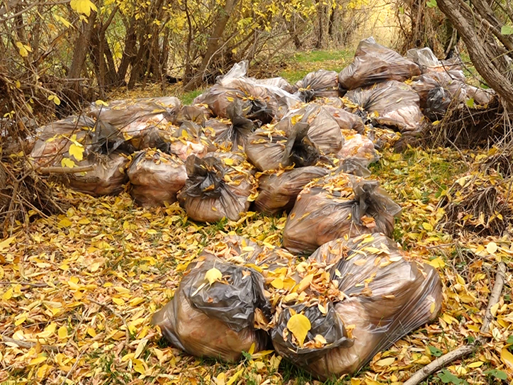 rossiyskie_pogranichniki_v_armenii_presekli_popytku_otpravki_krupnoy_partii_kontrabandy_foto - рис.1