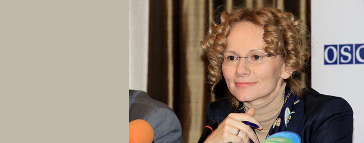 Наблюдательная миссия БДИПЧ/ОБСЕ начинает свою работу в Армении