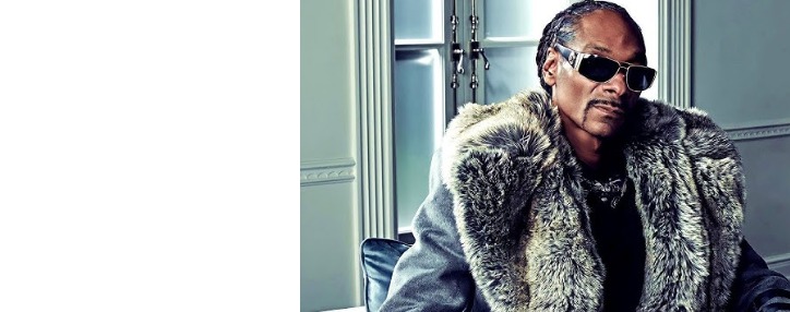 Snoop Dogg-ի երևանյան համերգի համար պետբյուջեից կհատկացվի 2,3 մլրդ դրամ 