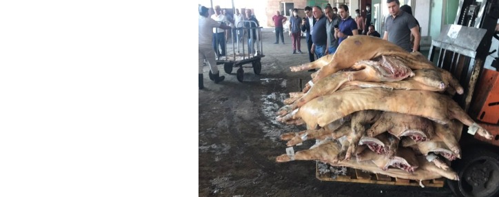 Երևանում կանխվել է բնակչությանը սպառնացող հնարավոր սանիտարահամաճարակային վտանգը 