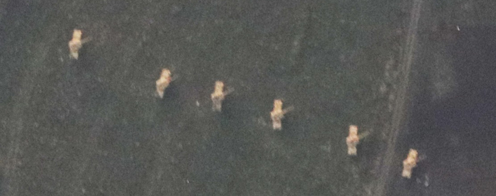 Азербайджан использует против Арцаха на юге чешские самоходные артиллерийские установки DANA – Минобороны (ФОТО)