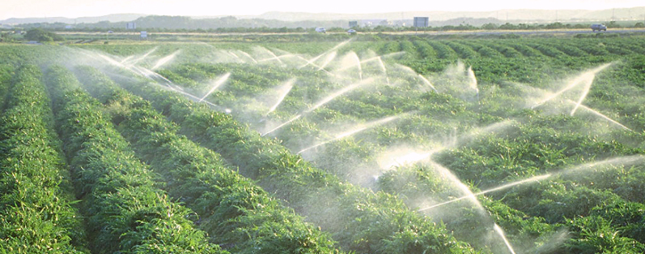 Հայաստանը նախատեսում է նյութեր արտադրել կաթիլային եղանակով ոռոգման համար. նախարար