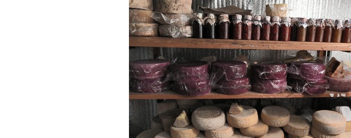 'Drunk cheese': new branch of Armenian business (video) 'Drunk cheese': new branch of Armenian business (video)