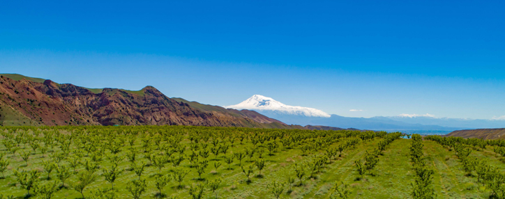 Հայկական Revalcon-ի ստեղծած տեխնոլոգիան արտերկրում շուկաներ է գրավում (ՎԻԴԵՈ)