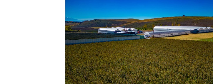 В Котайке при содействии Акба банка создана геотермальная гидропоническая теплица последнего поколения (ВИДЕО)