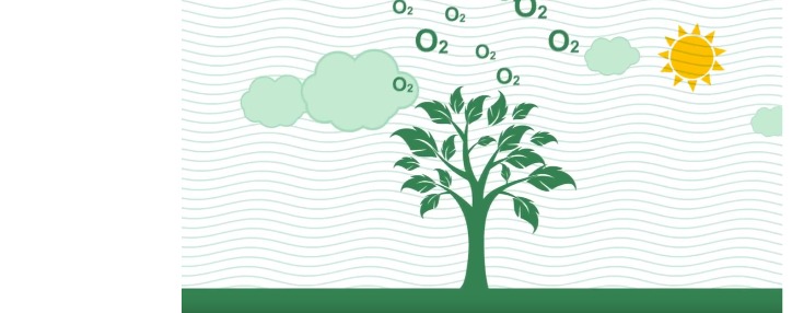 ԱԿԲԱ-ԿՐԵԴԻՏ ԱԳՐԻԿՈԼ ԲԱՆԿի շնորհիվ շարունակվում է համայնքներում  կանաչ ենթակառուցվածքների ստեղծման ծրագիրը 