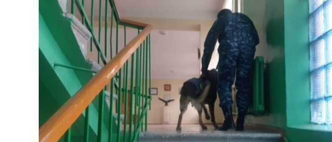 Տարհանվել է 411 աշակերտ և 58 ուսուցիչ. Գյումրիի դպրոցում ռումբ չի հայտնաբերվել