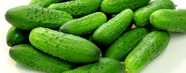 Минсельхоз РФ: 15% турецких продуктов не соответствуют нормам Минсельхоз РФ: 15% турецких продуктов не соответствуют нормам