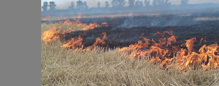 Ministry of agriculture issues fire warning