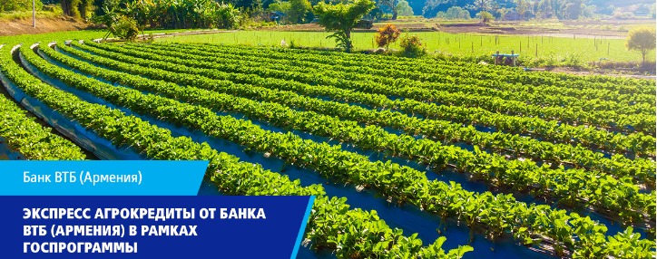 Банк ВТБ (Армения) предоставляет экспресс агрокредиты в рамках госпрограммы