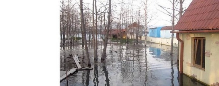 Около 121,1 млн. драмов потрачено на защиту экосистемы озера Севан в 2019 году Около 121,1 млн. драмов потрачено на защиту экосистемы озера Севан в 2019 году