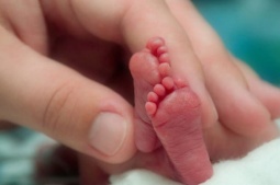 Новорожденный скончался в одном из ереванских медцентров, возбуждено уголовное дело - СК 