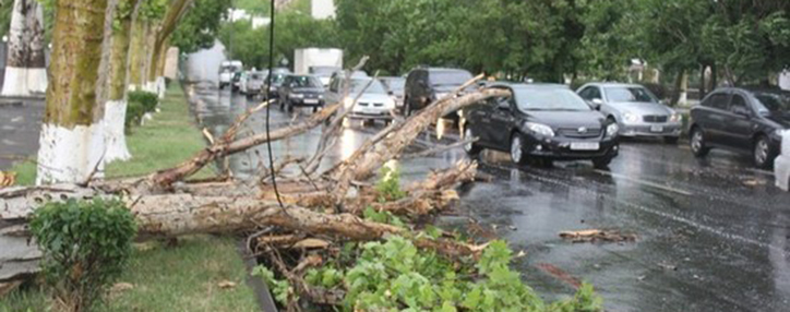 Рабочая группа мэрии ликвидирует последствия урагана в Ереване 