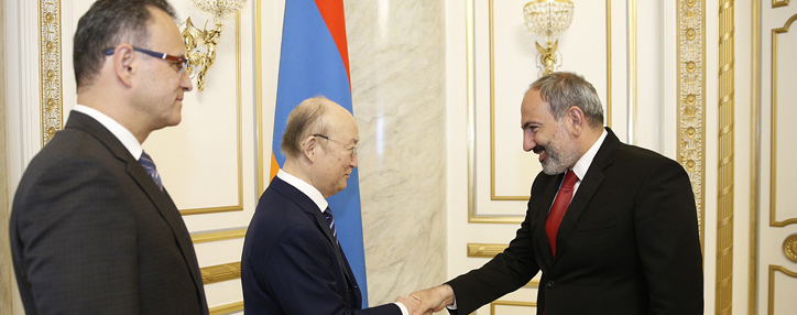 Pashinyan and IAEA director discuss cooperation enhancement 