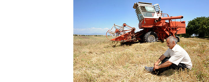 Ազատամարտիկ ֆերմերը