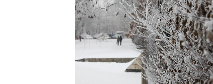 На Армению надвигается циклон - главный синоптик Армении