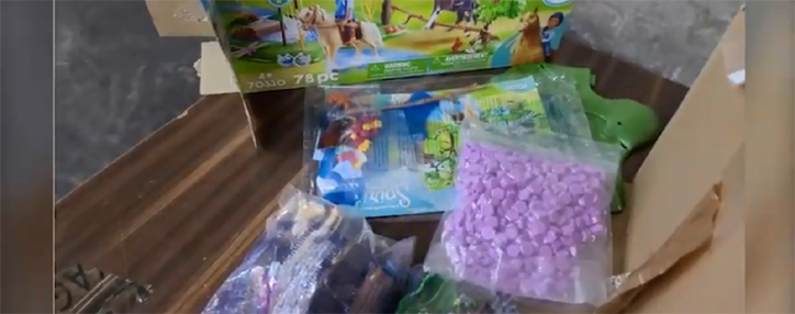 ՊԵԿ-ը բացահայտել է փոստային առաքանիների միջոցով թմրամիջոցների մաքսանենգության դեպքեր (ՎԻԴԵՈ)