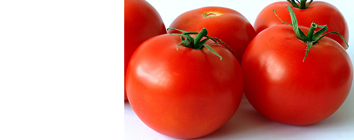Очередная ярмарка сельхозпродукции открылась в Ереване Очередная ярмарка сельхозпродукции открылась в Ереване