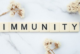 6 «врагов» которые незаметно разрушают наш иммунитет