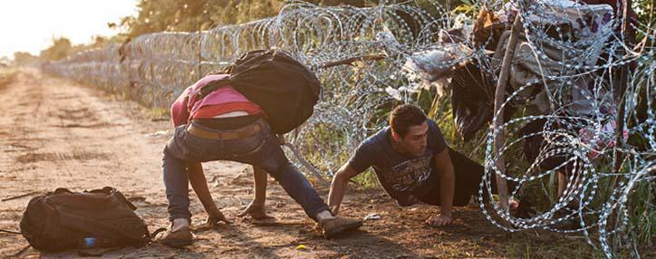  Министры ЕС потребовали изменить правила Шенгенской зоны