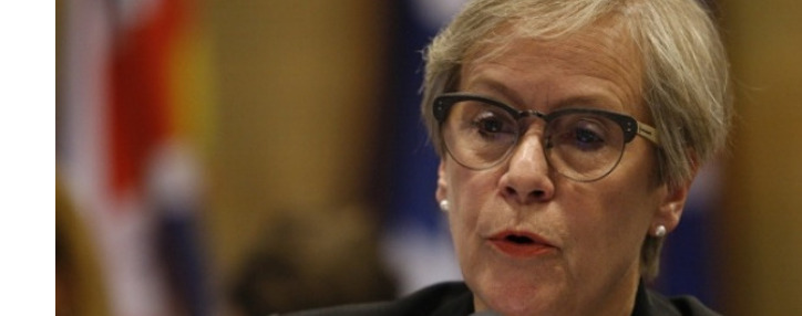 Директор БДИПЧ ОБСЕ выражает обеспокоенность в связи с действиями полиции в Армении