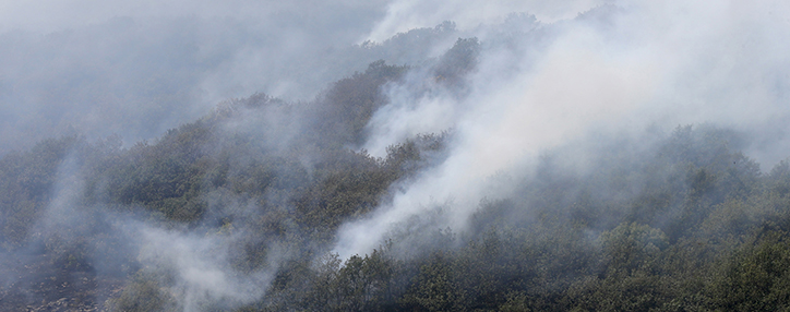 Fire in Armenian reserve still raging