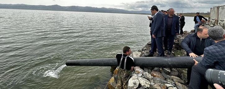 В озеро Севан выпущено более 130 тыс. мальков ишхана В озеро Севан выпущено более 130 тыс. мальков ишхана
