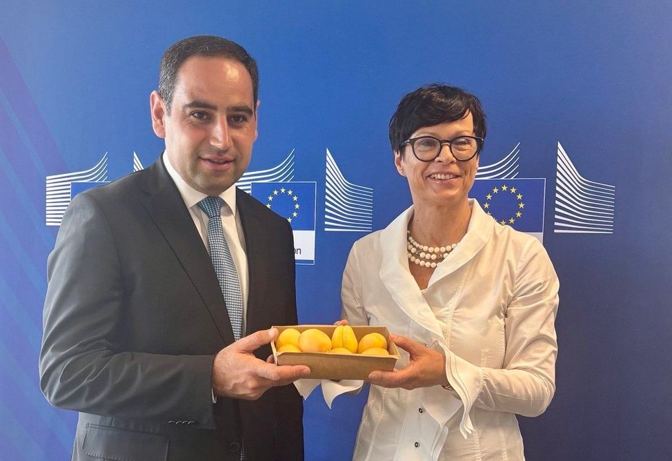 First symbolic shipment of Armenian apricots has arrived in the EU: European Commissioner
