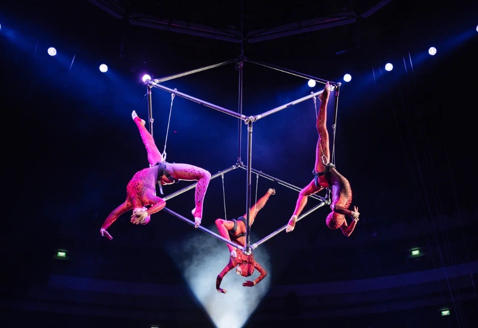 Российская "Ташир груп" организовала возвращение цирка в Ереван