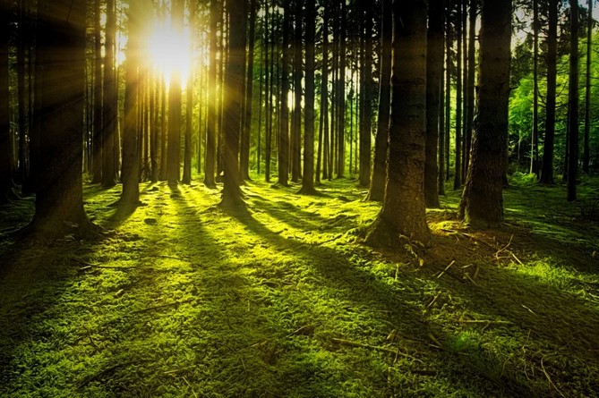 Armenia to receive $9.1 million grant for "RESILAND: Armenia's Sustainable Landscapes Program" implemented jointly with WB Armenia to receive $9.1 million grant for "RESILAND: Armenia's Sustainable Landscapes Program" implemented jointly with WB