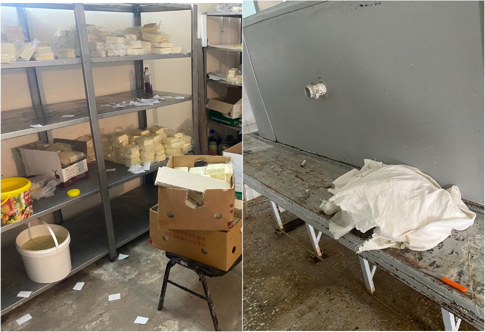 Operation of Cheese Factory in Yeghegnadzor Suspended 