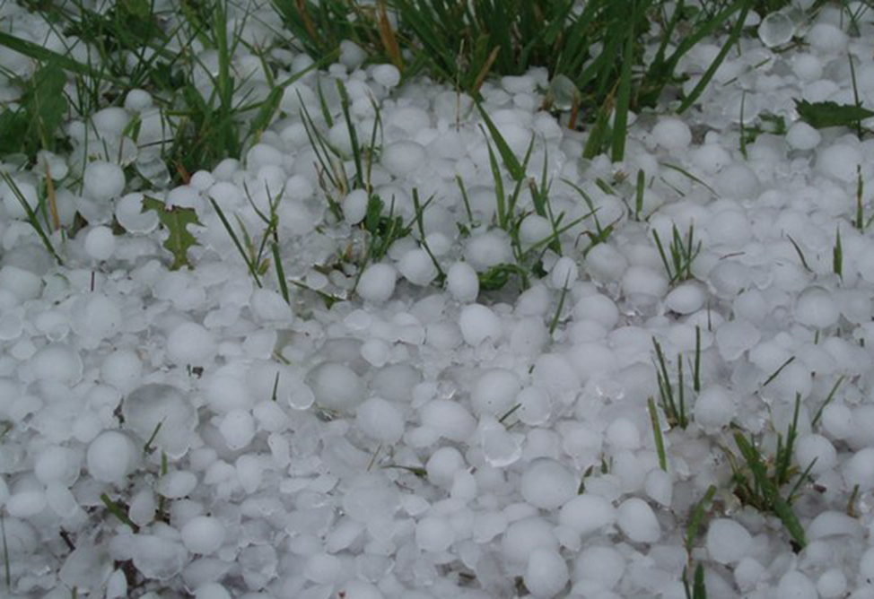 Hail in Armenia's Ararat Province Damages Crops in 20 Villages - Papoyan
