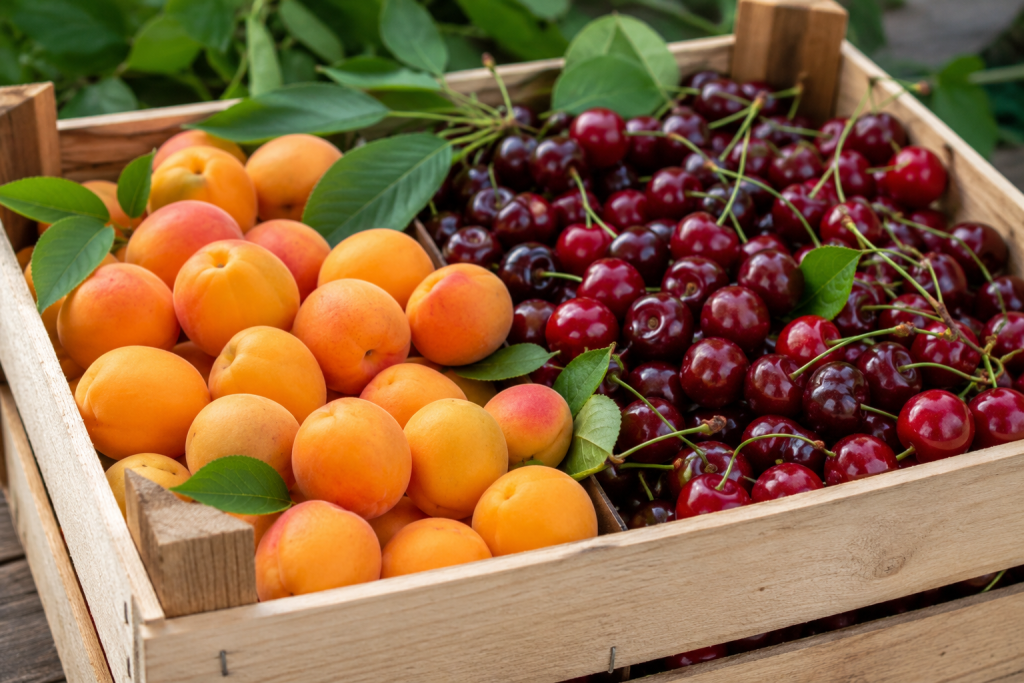 Armenia to Compensate Duties on Fruit, Vegetable, and Flower Exports to the EU, UK, and Canada