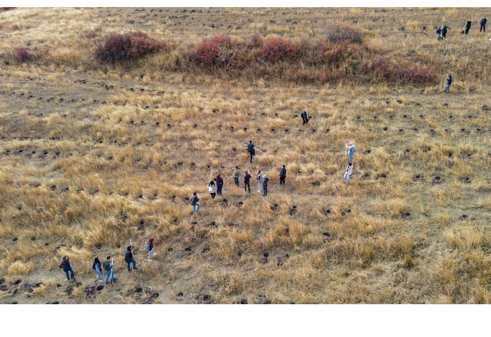 Ծառատունկ՝ հանուն Հայաստանի (ՎԻԴԵՈ)