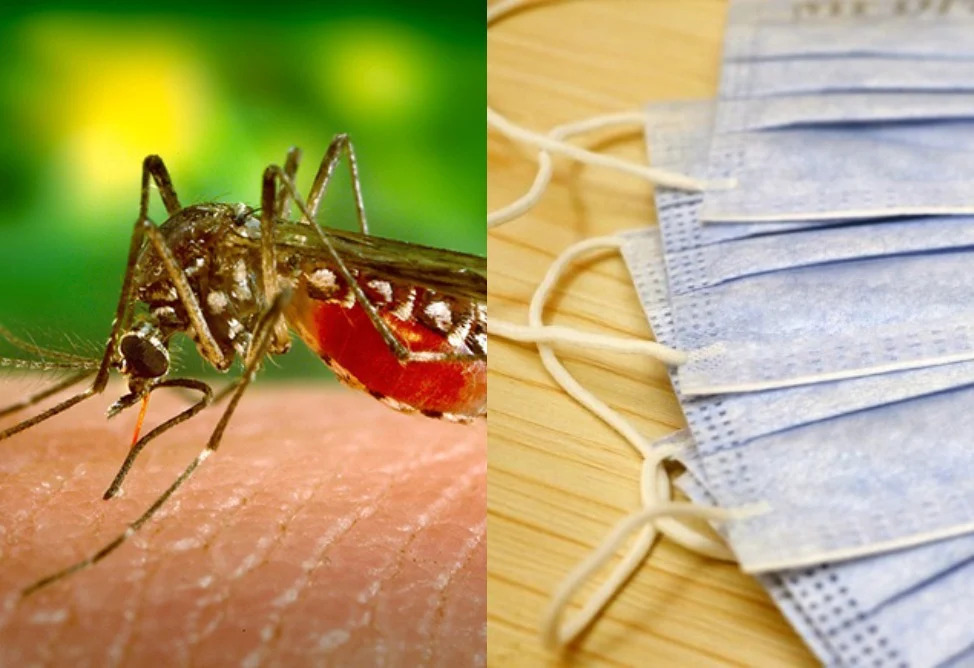 Ministry of Health reports 1 laboratory-confirmed case of West Nile fever in Armenia