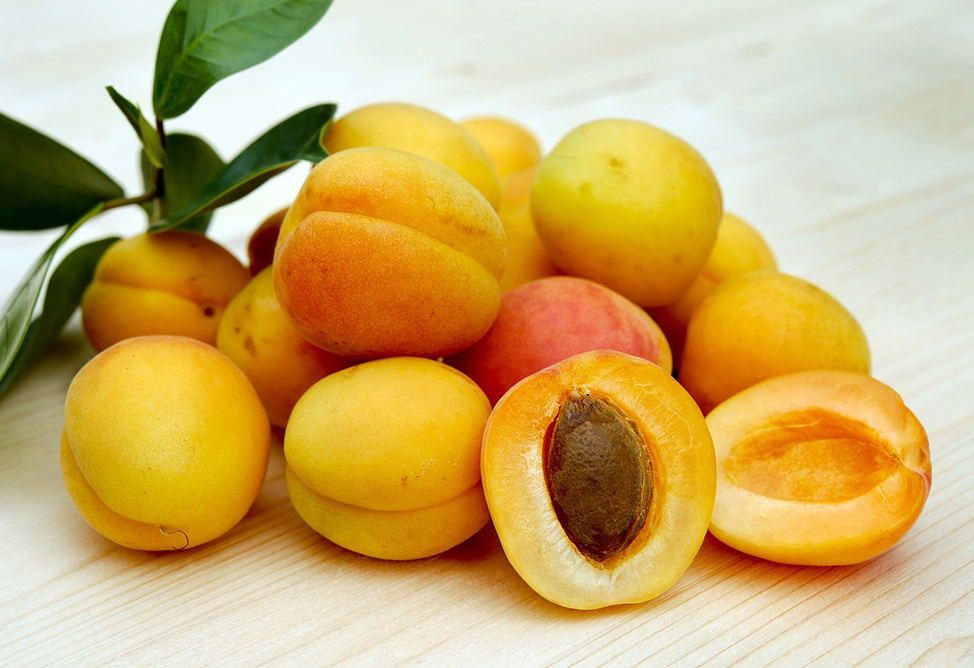 Grapes and apricots safe: Armenia adopts program of subsidizing agro-insurance Grapes and apricots safe: Armenia adopts program of subsidizing agro-insurance