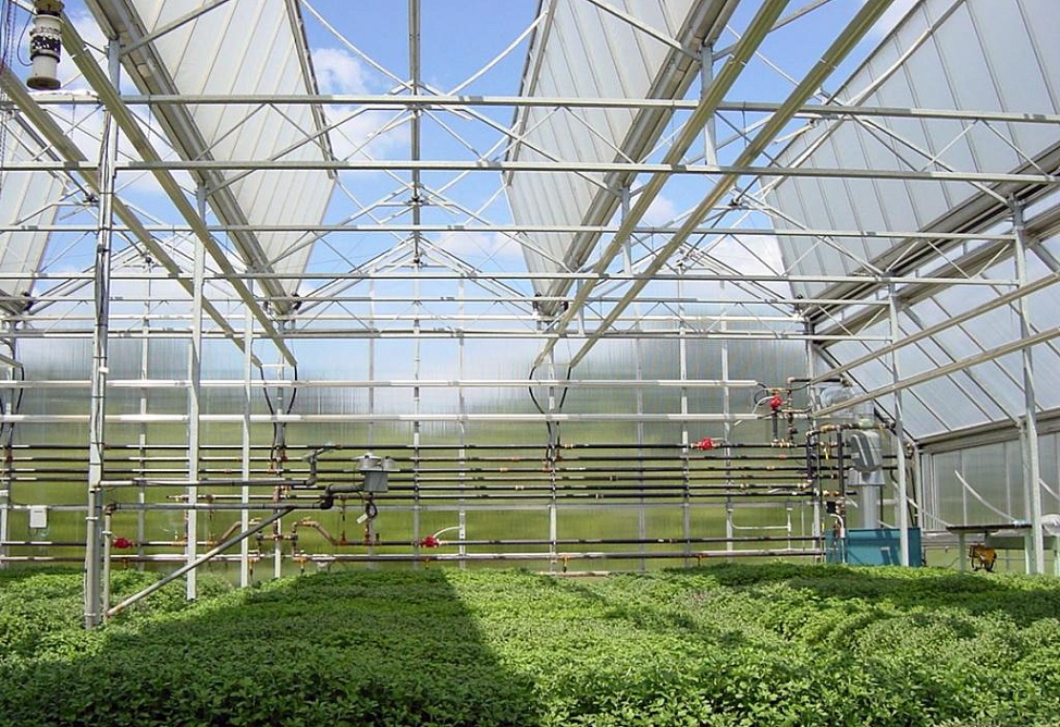 Progress Agro Company awarded deferment of VAT payment until 2017 November Progress Agro Company awarded deferment of VAT payment until 2017 November