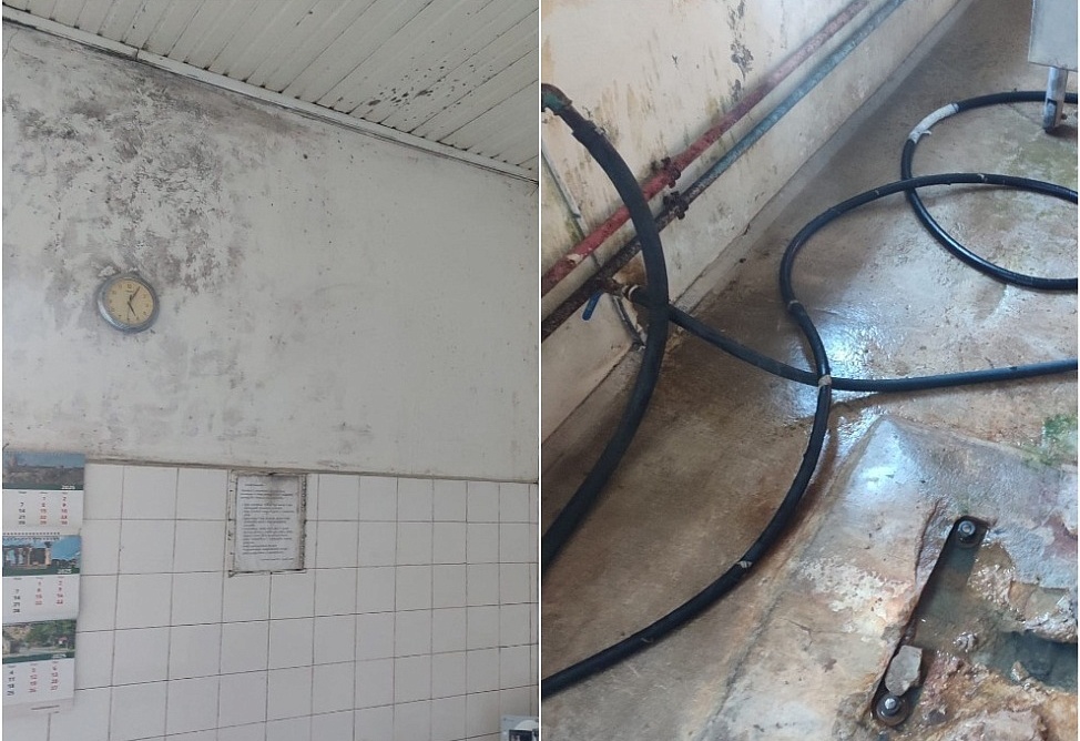 Второй цех компании по производству молочных продуктов «Аштарак Милк» закрыли из-за грубых нарушений (ФОТО) 